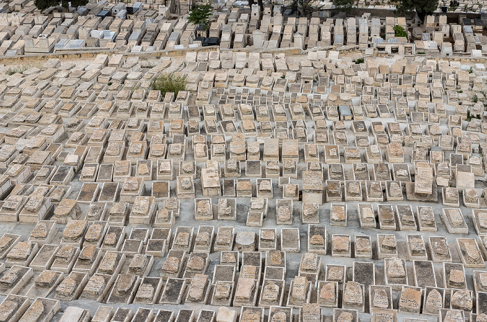Blick vom Ölberg: Kidrontal - Jüdischer Friedhof Jerusalem