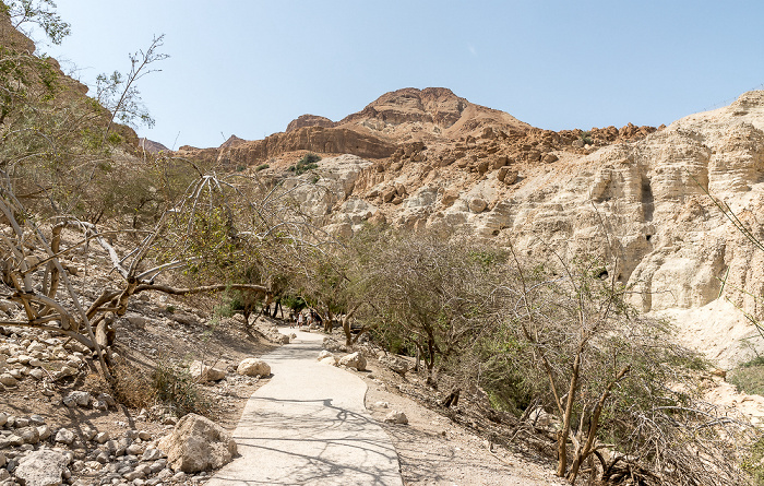 En Gedi Nature Reserve: Wadi David