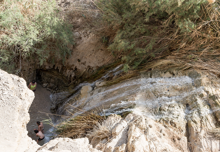 En Gedi Nature Reserve: Wadi David En Gedi
