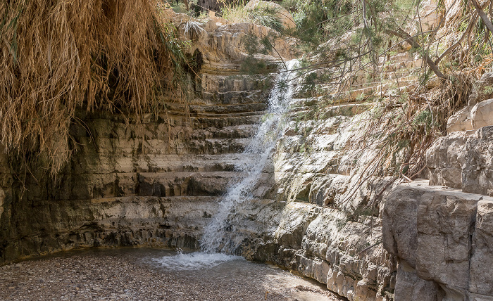 En Gedi Nature Reserve: Wadi David En Gedi
