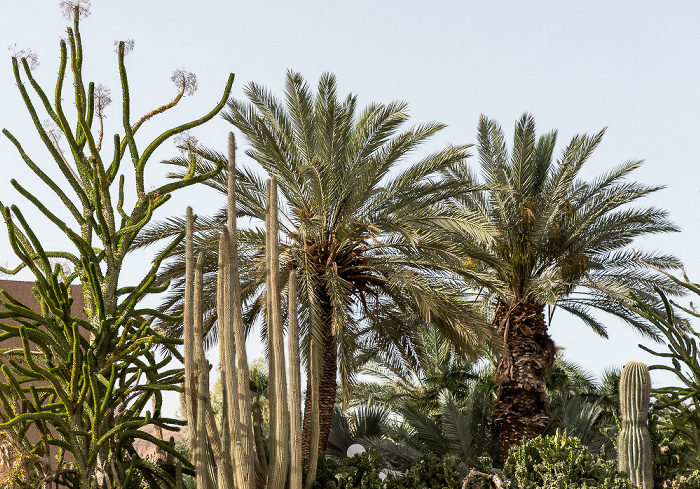 Kibbuz: Botanischer Garten En Gedi