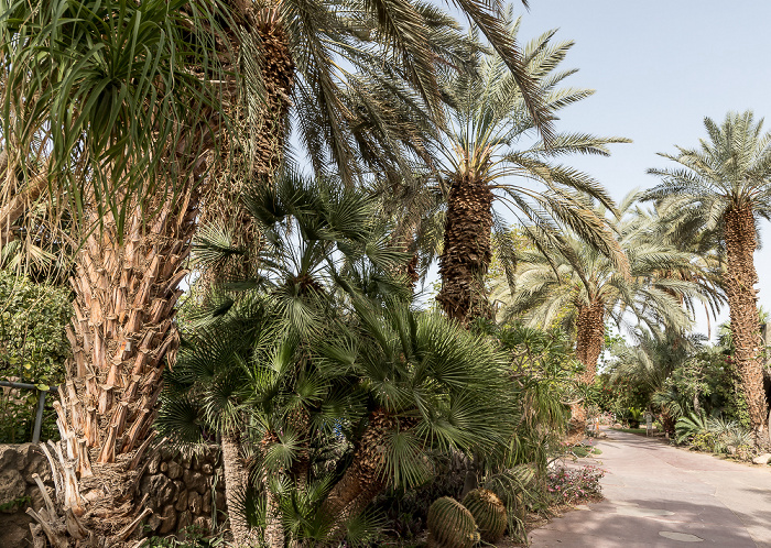 En Gedi Kibbuz: Botanischer Garten