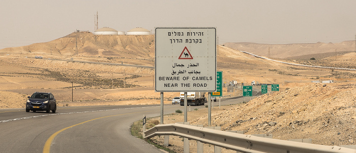 Negev Highway 25: Beware of camels near the road