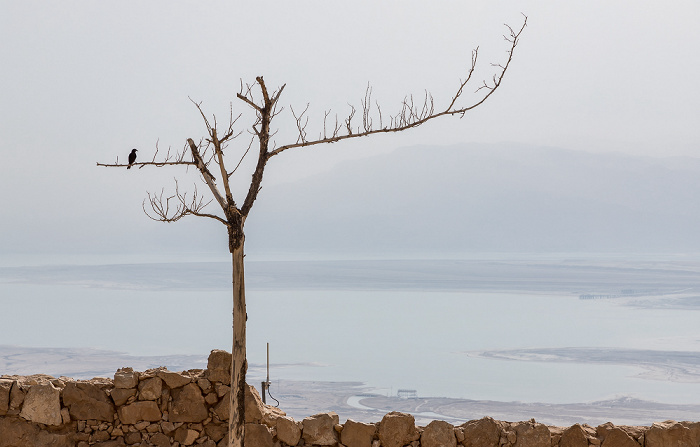 Masada-Nationalpark Masada