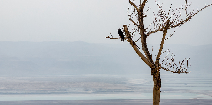 Masada-Nationalpark