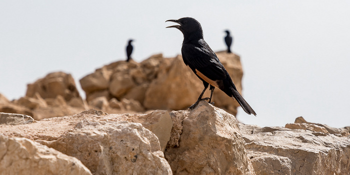 Masada-Nationalpark Masada