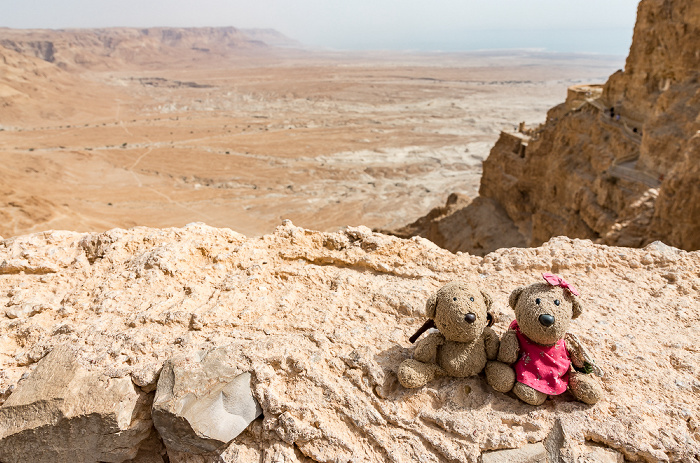 Masada-Nationalpark: Teddy und Teddine