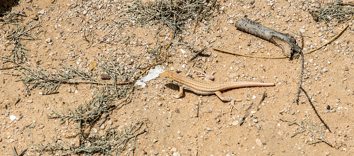 Mamshit Nationalpark