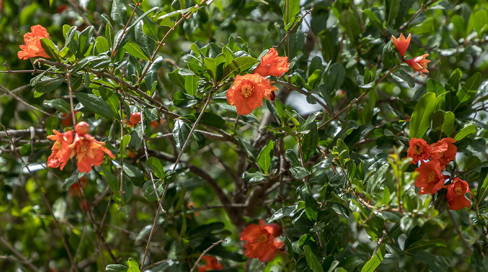 Tel Be'er Sheva Tel Beer Sheva Nationalpark