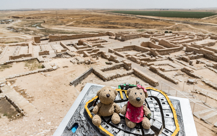 Tel Be'er Sheva Tel Beer Sheva Nationalpark: Teddy und Teddine