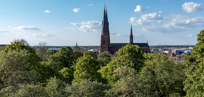Dom St. Erik (Uppsala domkyrka)