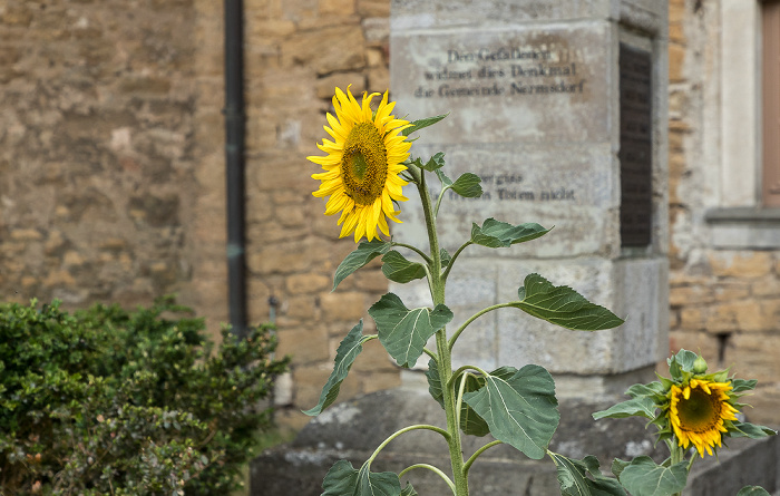 Nermsdorf Im Dorfe: Dorfkirche - Sonnenblumen