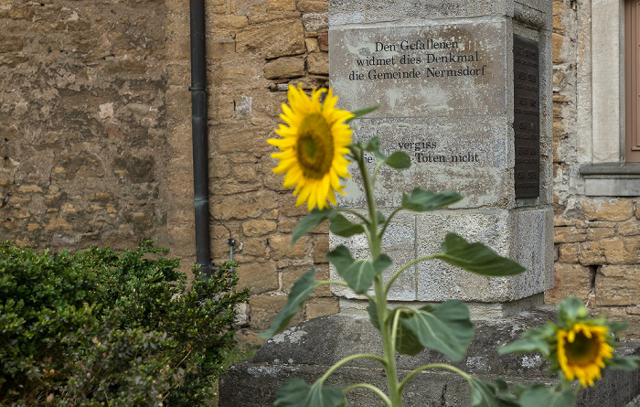 Im Dorfe: Dorfkirche - Sonnenblumen Nermsdorf