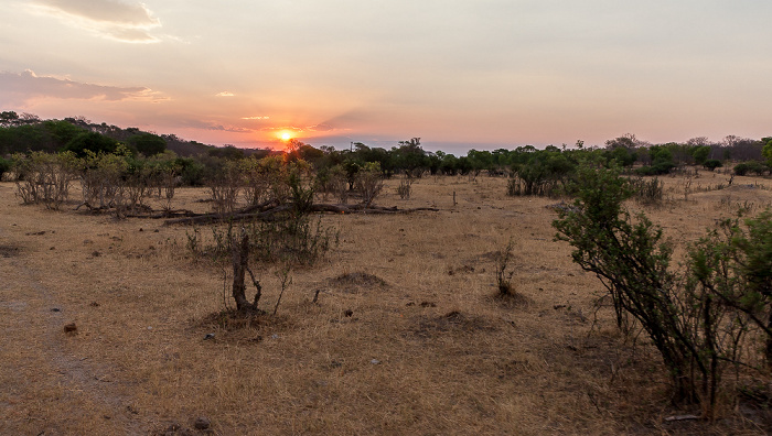 Sikumbi Forest Reserve