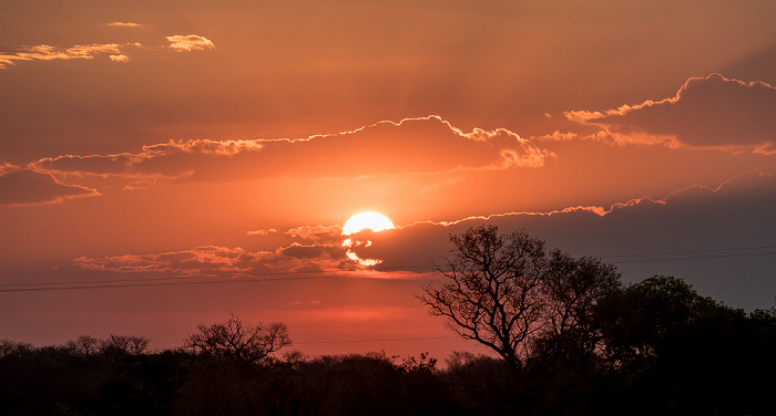 Sikumbi Forest Reserve