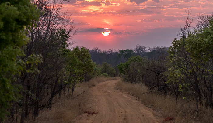 Sikumbi Forest Reserve