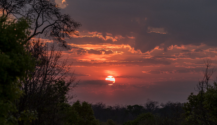 Sikumbi Forest Reserve