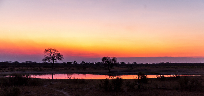 Sikumbi Forest Reserve