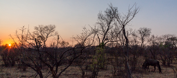 Sikumbi Forest Reserve