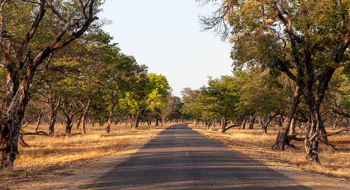 Sikumbi Forest Reserve