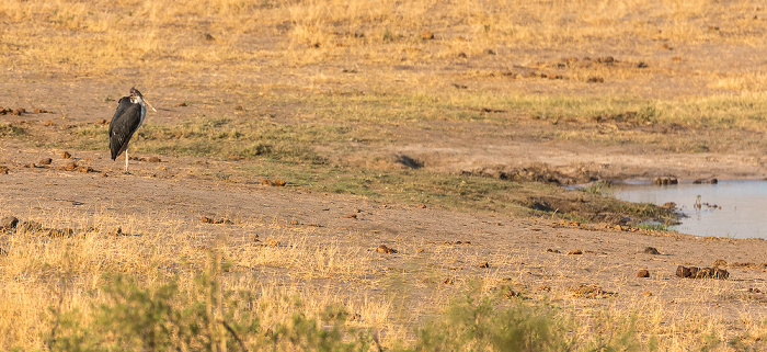 Hwange National Park