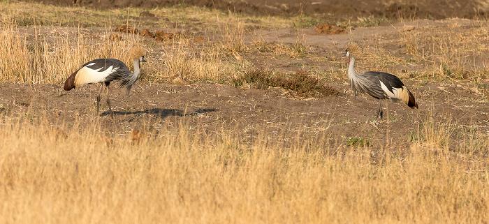 Hwange National Park