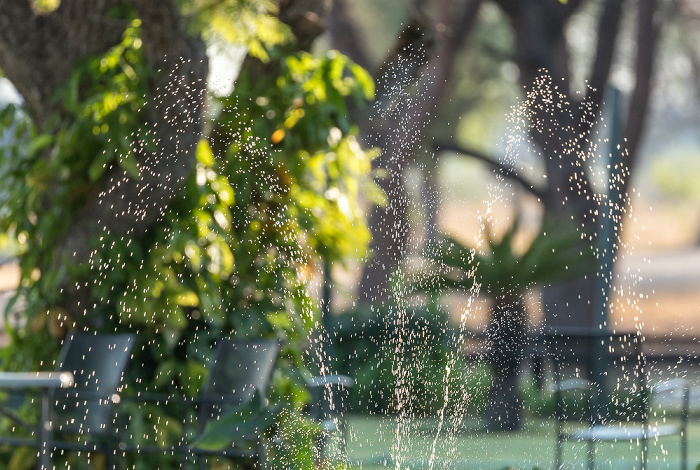 Springbrunnen Hwange National Park