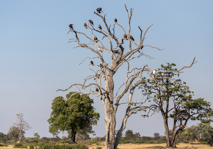 Hwange National Park