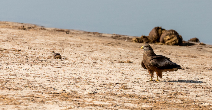 Hwange National Park