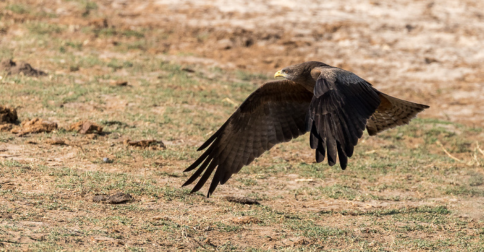 Hwange National Park