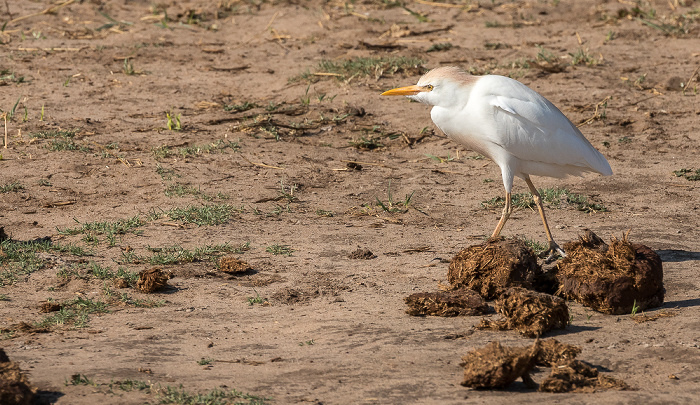 Hwange National Park