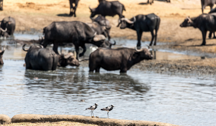 Hwange National Park