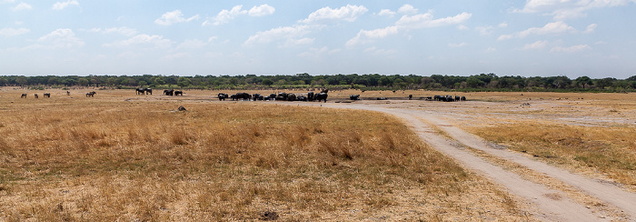 Hwange National Park