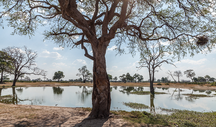 Hwange National Park Makwa Pan