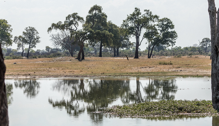 Hwange National Park Makwa Pan