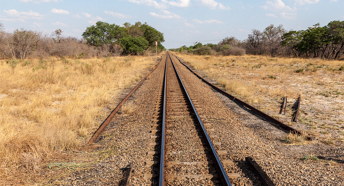 Bahnlinie Bulawayo - Victoria Falls Sikumbi Forest Reserve