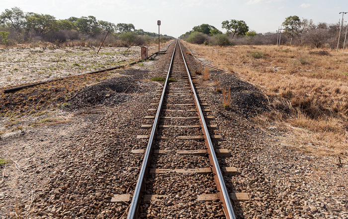 Bahnlinie Bulawayo - Victoria Falls Sikumbi Forest Reserve