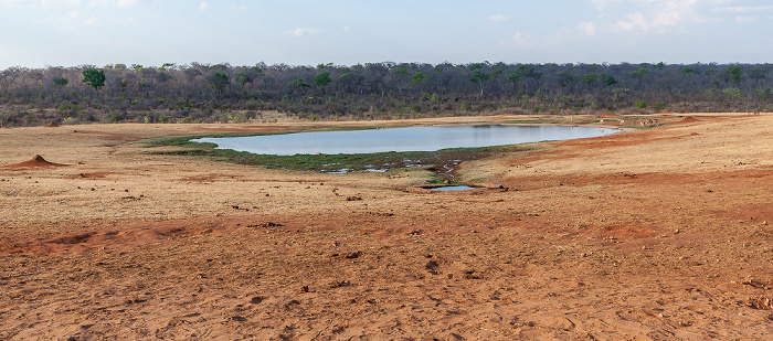 Wasserloch an der Ivory Lodge Sikumbi Forest Reserve