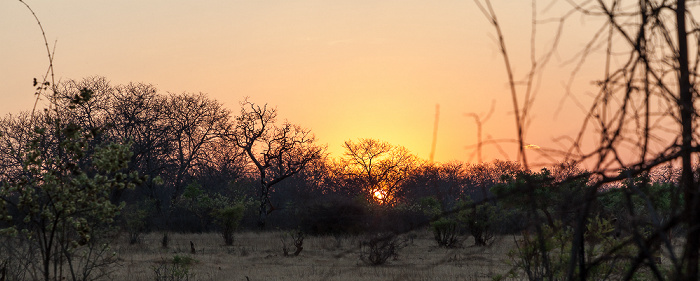 Sikumbi Forest Reserve Ivory Lodge