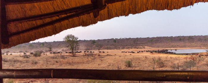 Ivory Lodge Sikumbi Forest Reserve