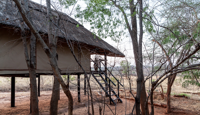 Sikumbi Forest Reserve Ivory Lodge