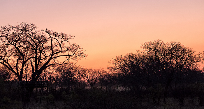 Ivory Lodge Sikumbi Forest Reserve