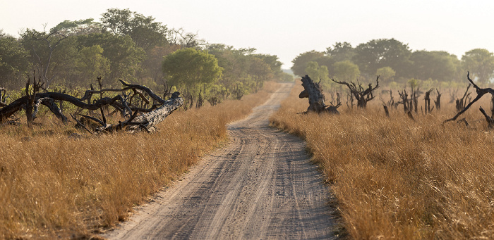 Sikumbi Forest Reserve