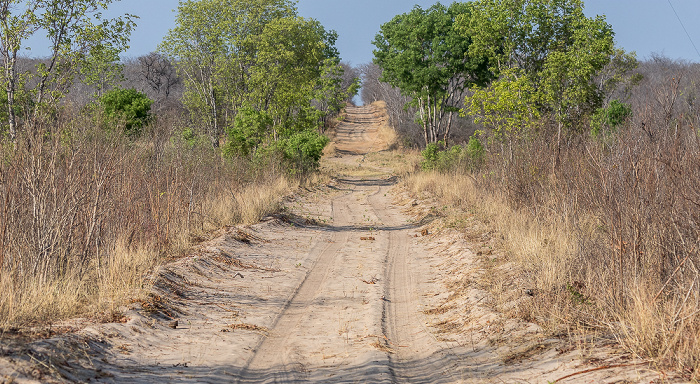 Sikumbi Forest Reserve