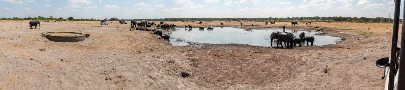 Kennedy Pan Hwange National Park