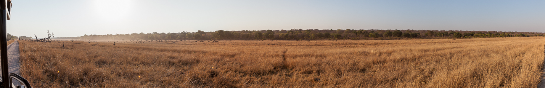 Sikumbi Forest Reserve