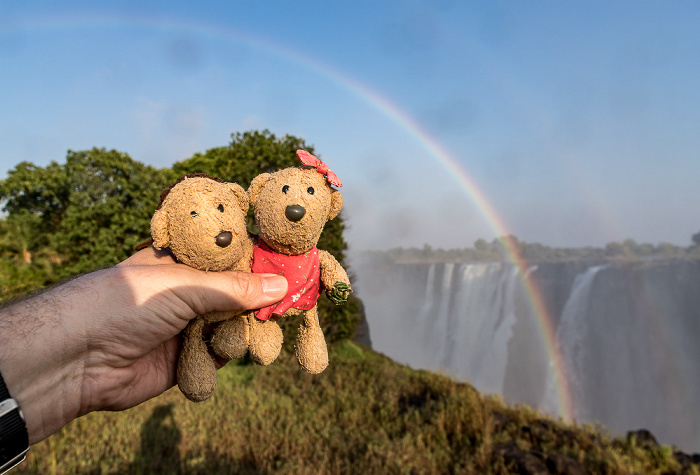 Victoria Falls National Park Victoriafälle: Teddy und Teddine