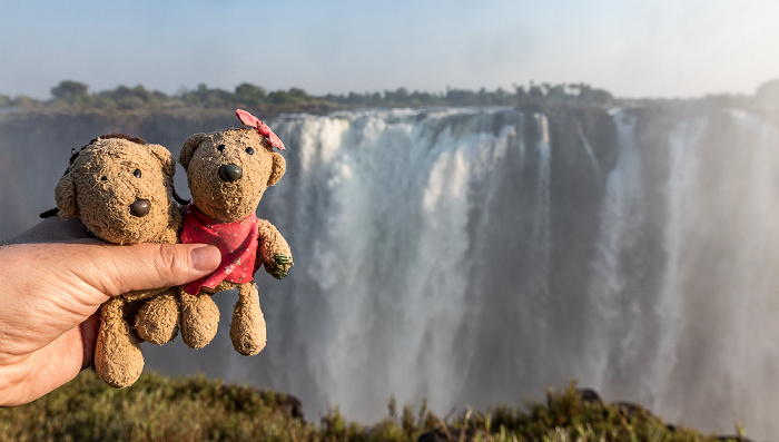 Victoria Falls National Park Victoriafälle: Teddy und Teddine