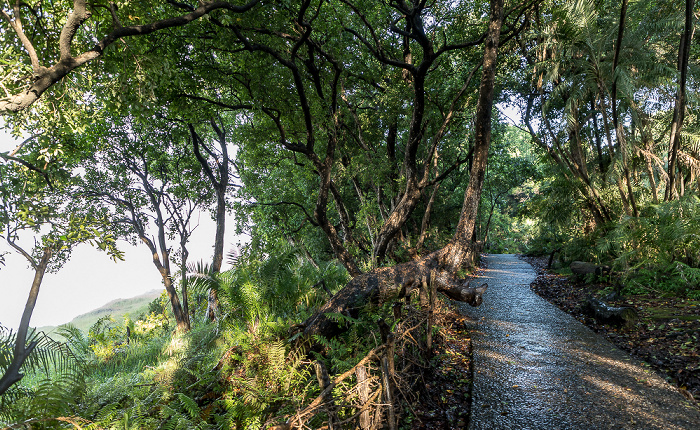 Victoria Falls National Park Regenwald