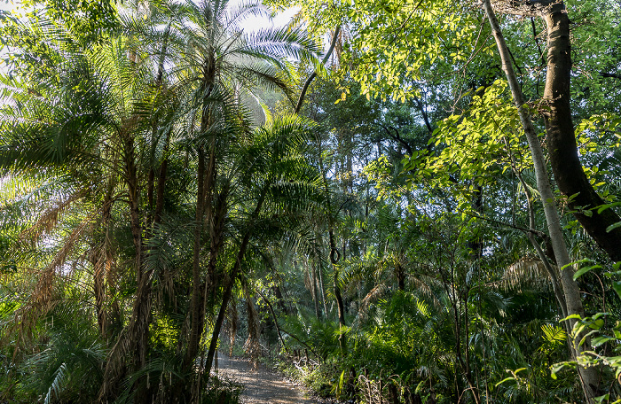 Victoria Falls National Park Regenwald